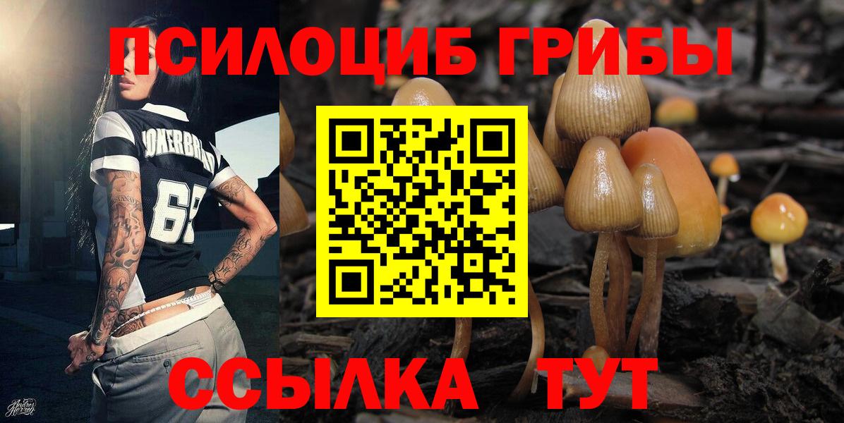 даркнет сайт  Псилоцибиновые грибы прущие грибы  Жигулёвск  Вход с VPN  Псилоцибиновые грибы Cubensis 