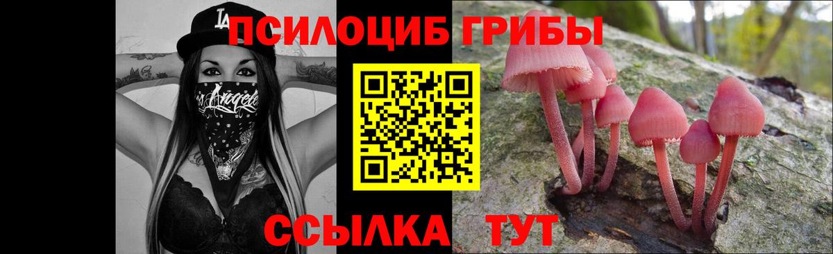 Галлюциногенные грибы GOLDEN TEACHER Жигулёвск